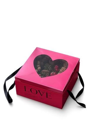 Edition of Love